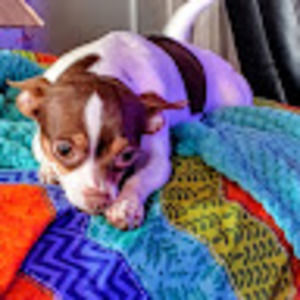 Meet your Posher, Melissa